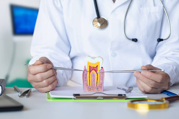 Best After-Hours Emergency Dentist in Combe, LA